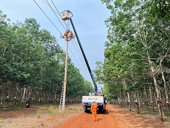 Điện lực Đak Đoa triển khai thi công lắp dây chống sét. Ảnh: Nghi Khang