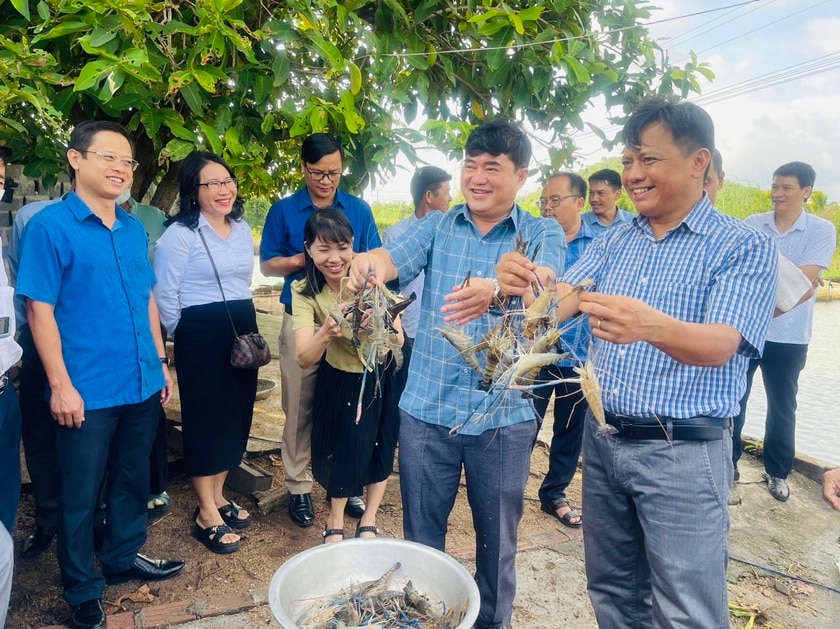 Nhiều mô hình sản xuất mới được triển khai mang lại thu nhập cao cho nông dân Phú Thiện. Ảnh: Vũ Chi