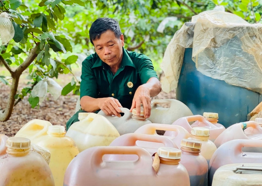 Ông Đặng Thanh Vân (tổ 1, thị trấn Phú Hòa, huyện Chư Păh) cũng sử dụng đạm cá tự ủ cho trang trại rộng hơn 3 ha. Ảnh: T.D