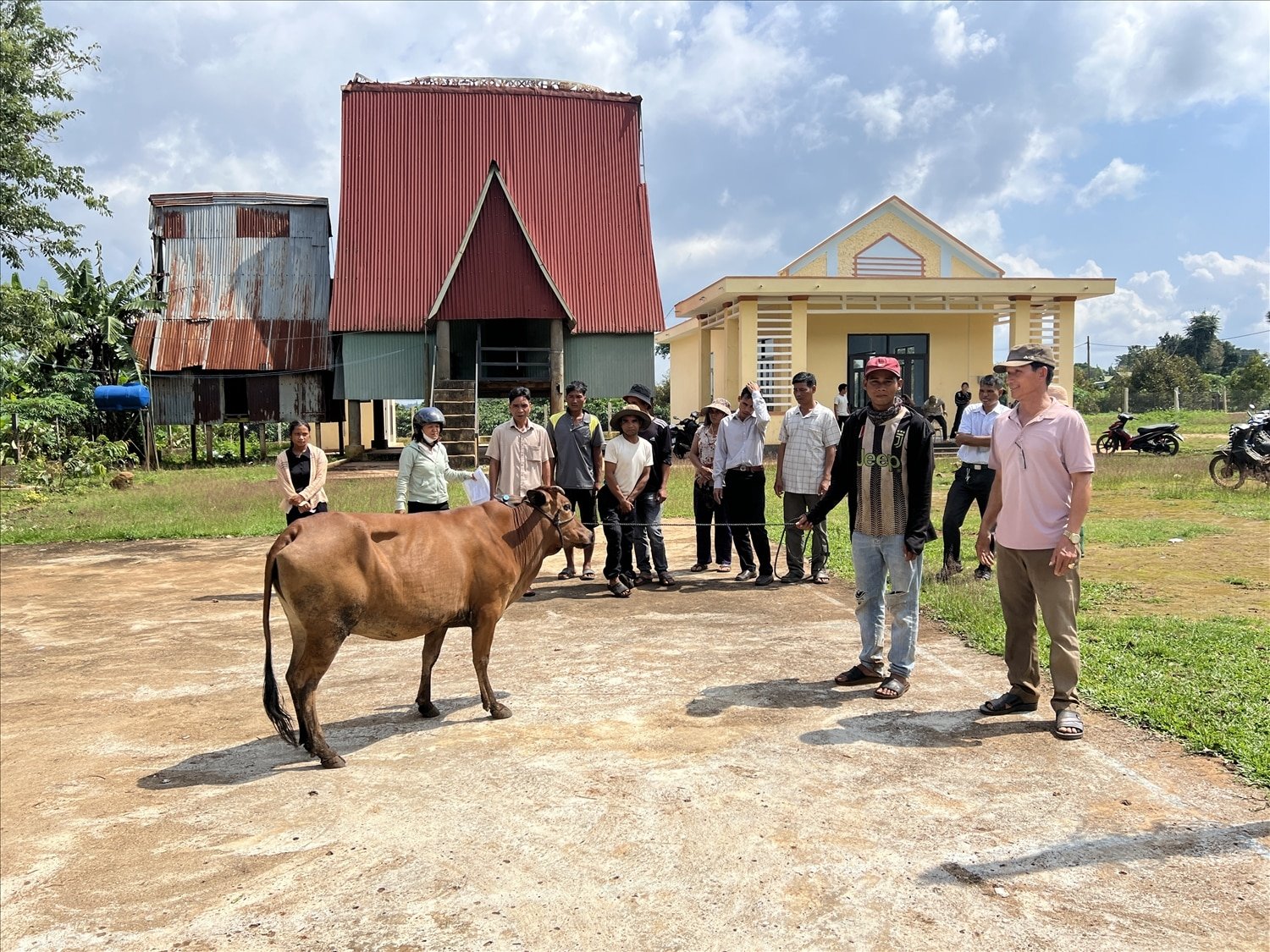 Hỗ trợ chăn nuôi hỗ trợ bò cái sinh sản cho các hộ nghèo, cận nghèo đồng bào DTTS tại xã Ia Ka