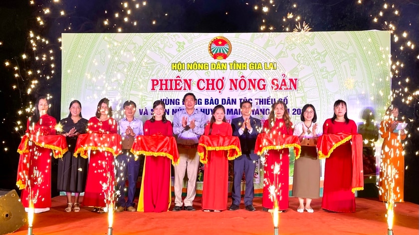 Phiên chợ do Hội Nông dân tỉnh Gia Lai phối hợp với Hội Nông dân huyện Mang Yang tổ chức. Ảnh: V.T