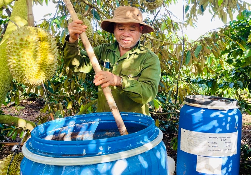 Ông Phan Văn Chạo (thôn 2, xã Nghĩa Hòa) tự ủ đạm cá hữu cơ để bón cho cây trồng. Ảnh: T.D