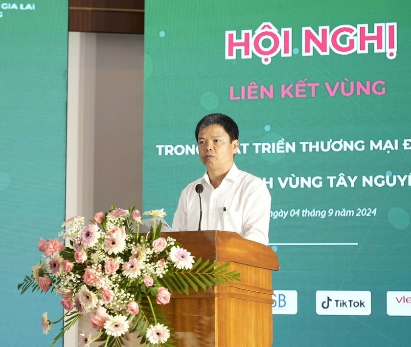 Phó Chủ tịch UBND tỉnh Nguyễn Hữu Quế thông tin về tình hình phát triển thương mại điện tử trên địa bàn tỉnh. Ảnh: Nhật Hào