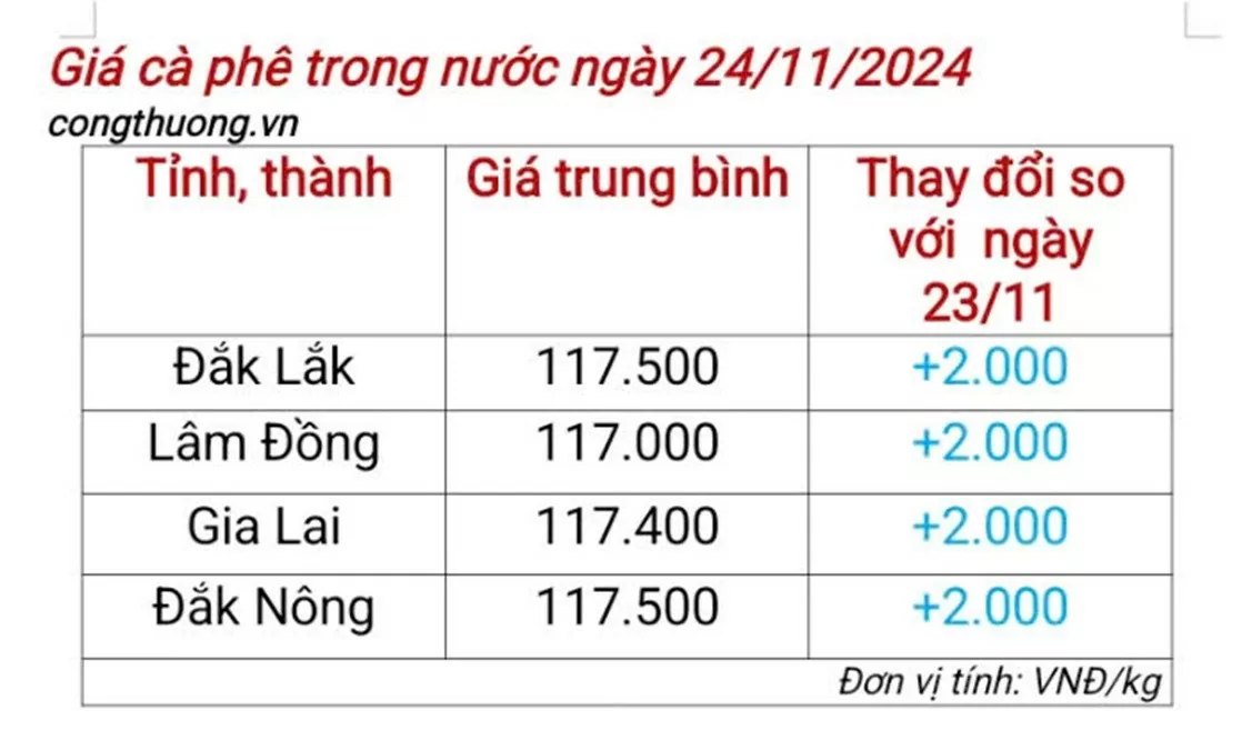 Giá cà phê hôm nay 24/11/2024: Giá cà phê trong nước tiếp tục tăng mạnh