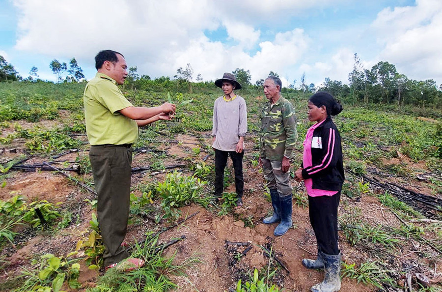 huy-dong-nguon-luc-phu-xanh-dat-trong-doi-troc-dd.jpg