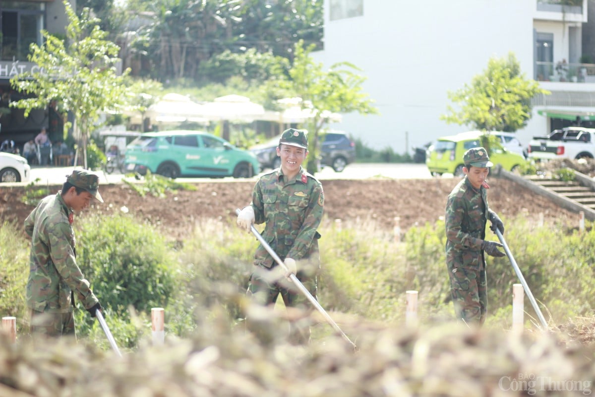 Bộ đội, thanh niên Gia Lai hối hả dọn dẹp vệ sinh, làm đẹp môi trường đón Tết Ất Tỵ 2025