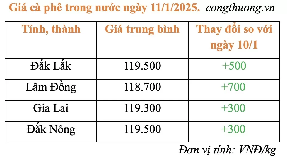 Giá cà phê hôm nay 11/1/2025: