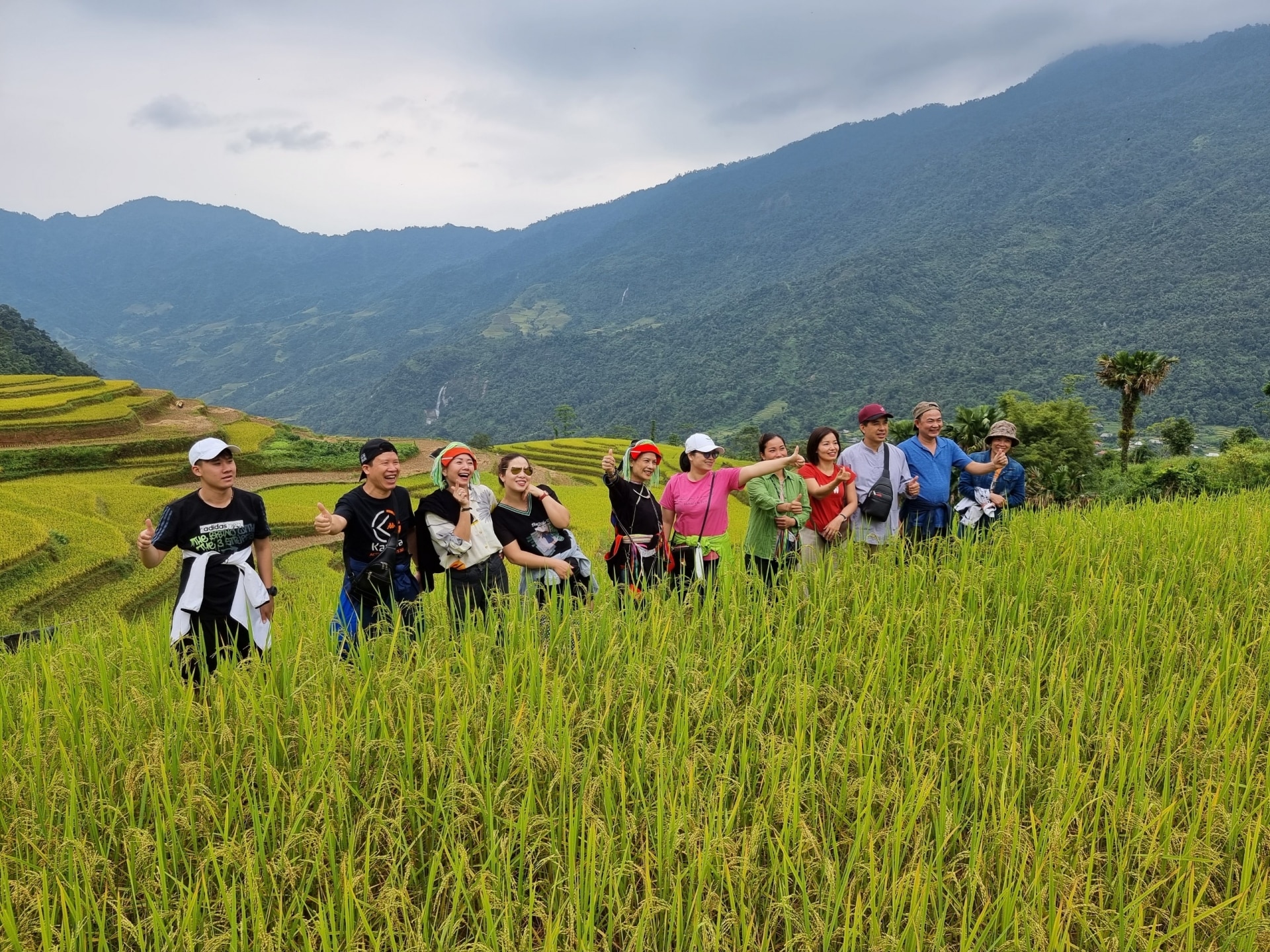 Du khách tham quan ruộng bậc thang, ngắm mùa lúa chín tại thôn Lùng Tao.