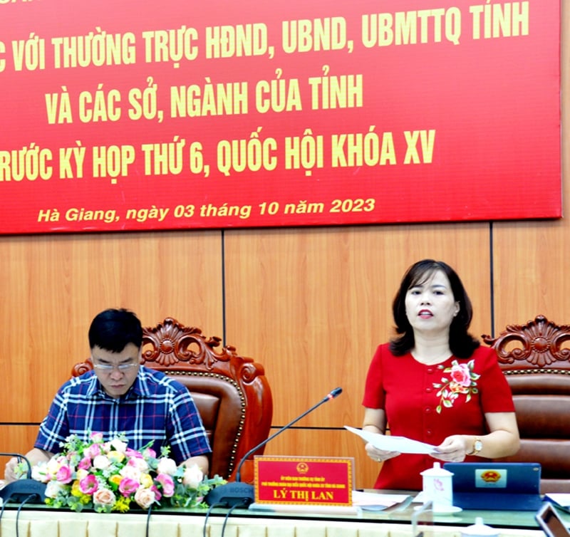 Phó Trưởng đoàn chuyên trách Đoàn ĐBQH khóa XV tỉnh Hà Giang Lý Thị Lan phát biểu tại buổi làm việc