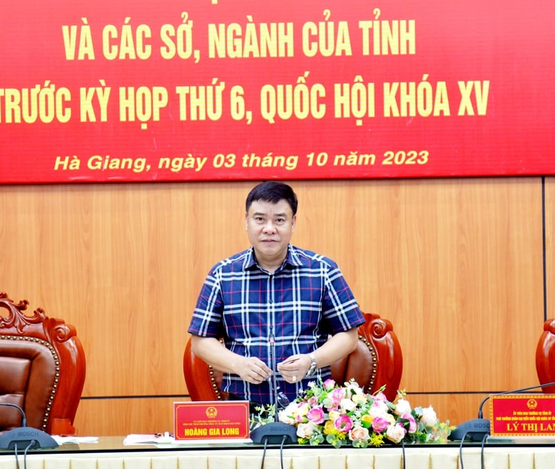 Phó Chủ tịch Thường trực UBND tỉnh Hoàng Gia Long làm rõ thêm những giải pháp đẩy mạnh phát triển KT - XH trên địa bàn tỉnh thời gian tới