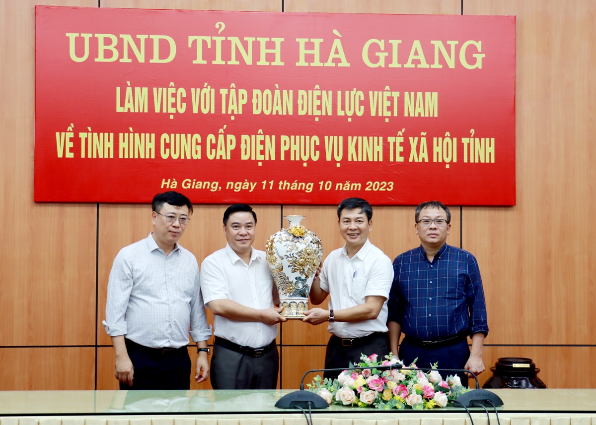 Tập đoàn Điện lực Việt Nam tặng quà cho UBND tỉnh.