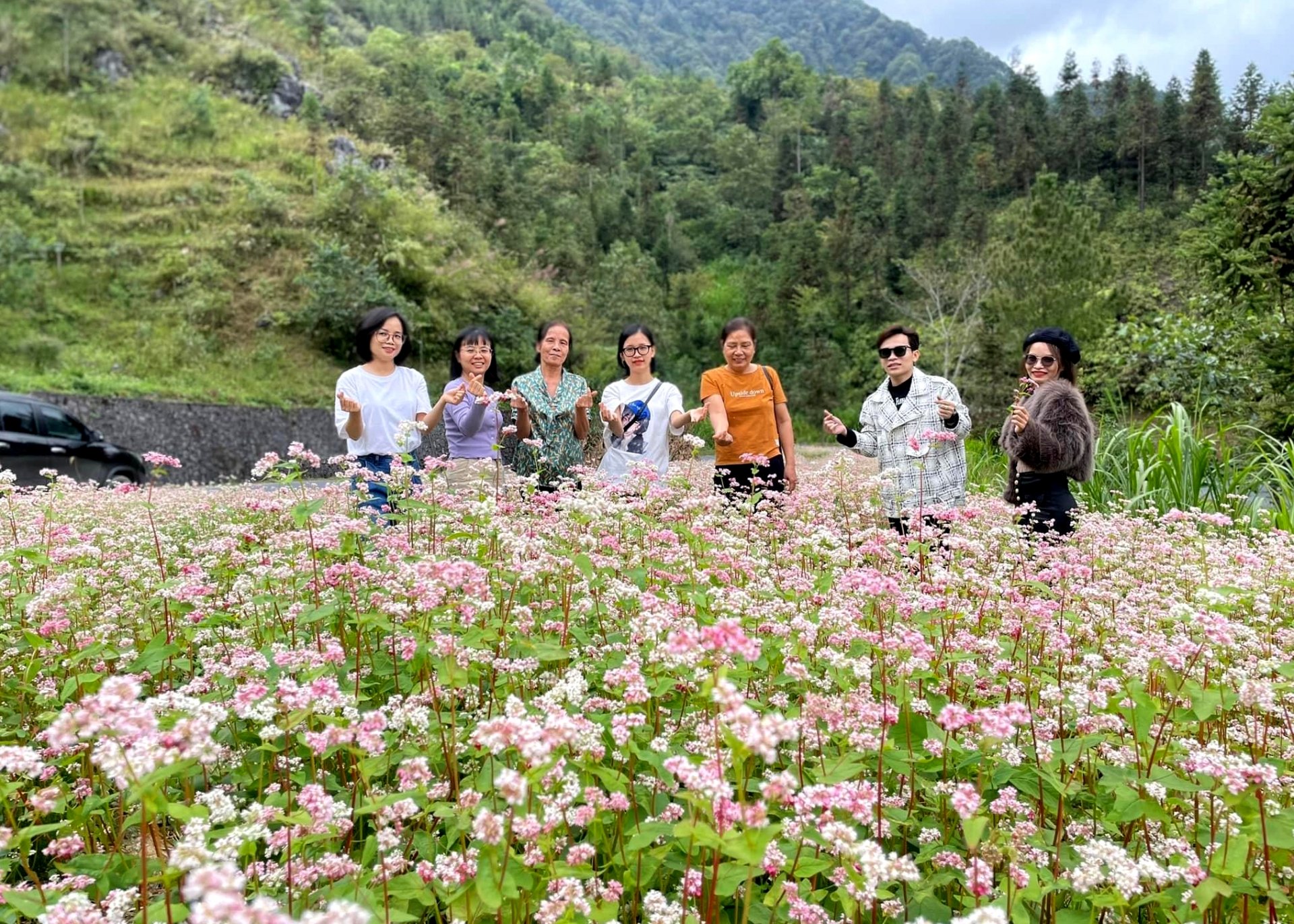 Hoa Tam giác mạch nở rộ đón chào du khách đến với Hà Giang.