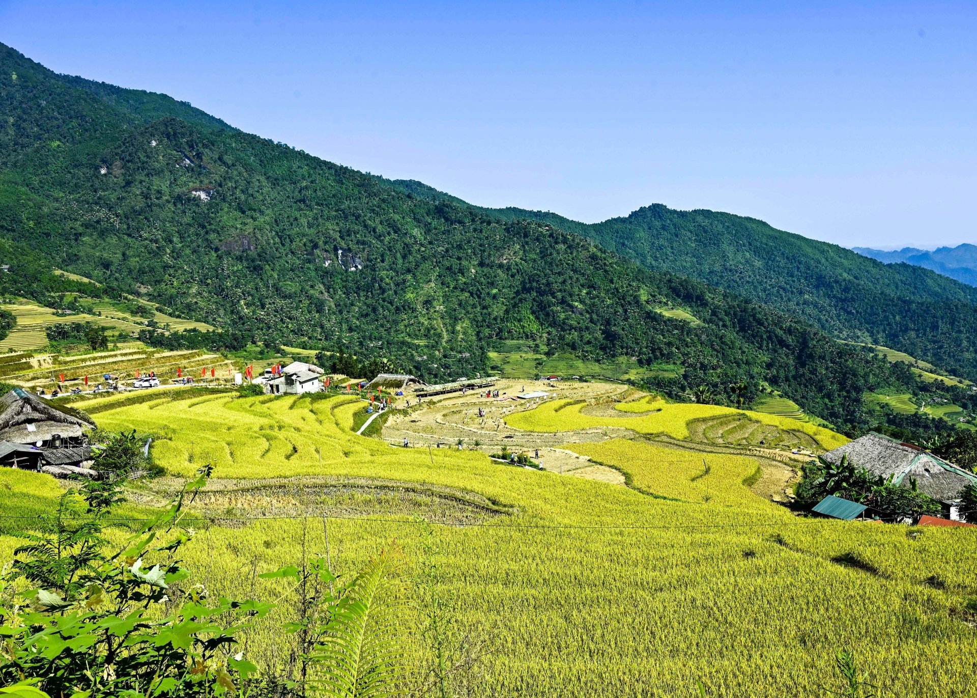 Thôn Xà Phìn, xã Phương Tiến, huyện Vị Xuyên chuẩn bị cho ngày khai mạc Lễ hội mùa vàng 2023.