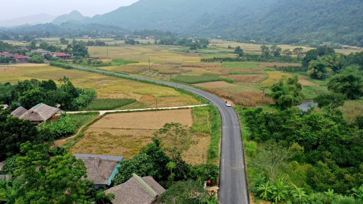 Một đoạn đường tỉnh ĐT183 qua địa bàn xã Vĩ Thượng đã thi công xong mặt đường bê tông nhựa; nhìn từ trên cao tuyến đường như tấm thảm nhung chạy giữa cánh đồng.