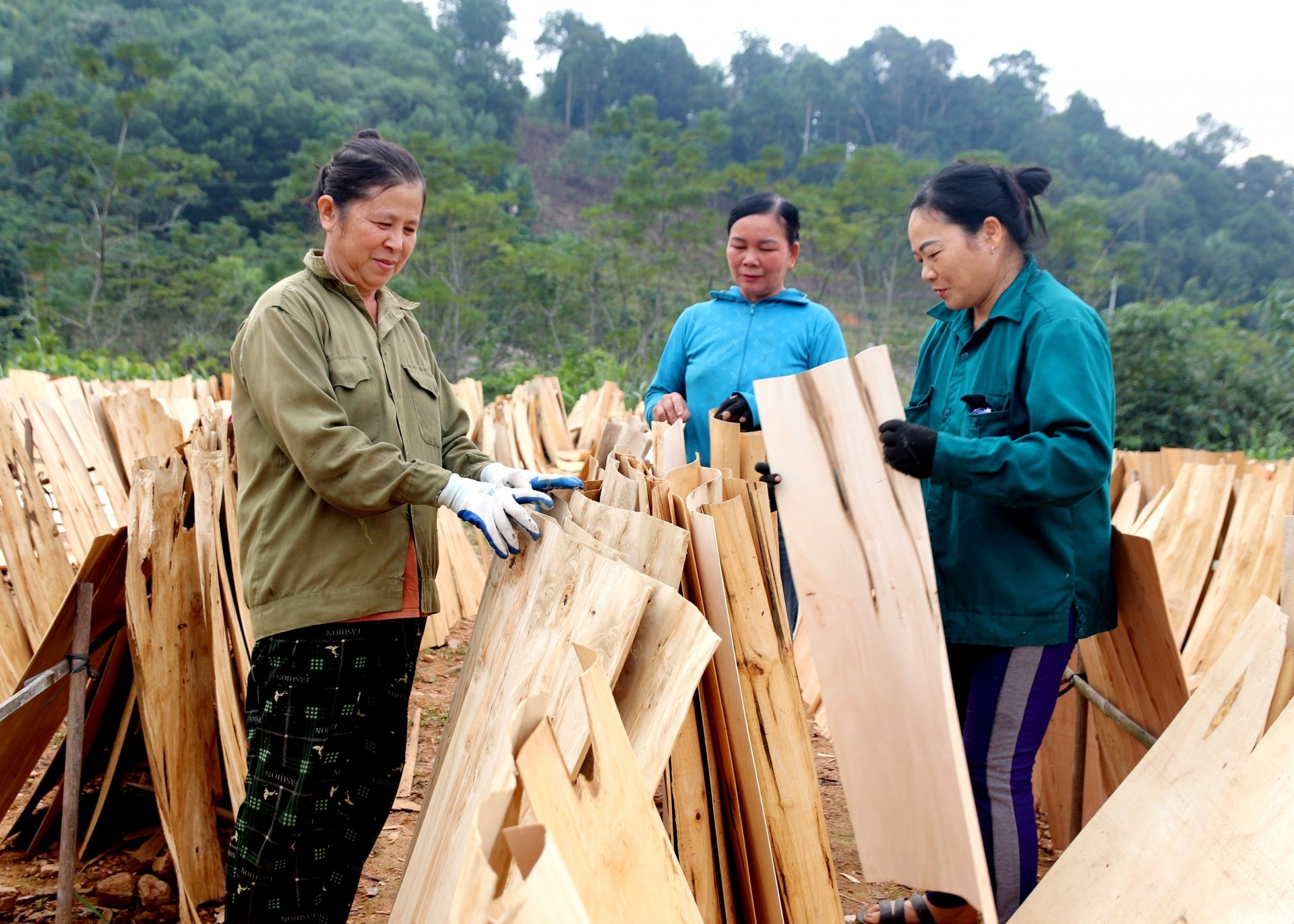 Cơ sở chế biến lâm sản Hoàng Ngọc, xã Hùng An (Bắc Quang) giúp nhiều lao động có việc làm ổn định.