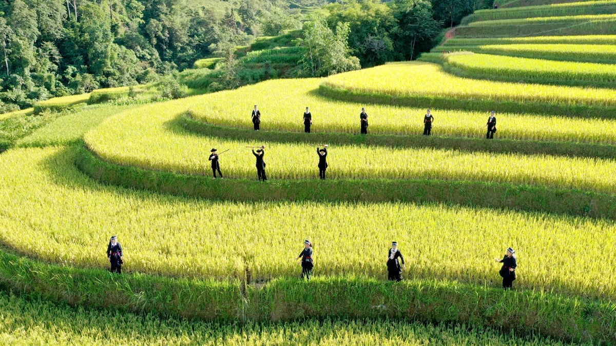 Biểu diễn văn nghệ dân gian dân tộc Dao áo dài trên những thửa ruộng bậc thang