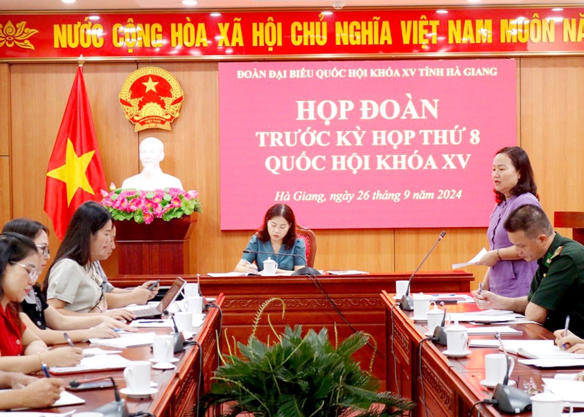 ĐBQH Phạm Thúy Chinh phát biểu tại cuộc họp. 