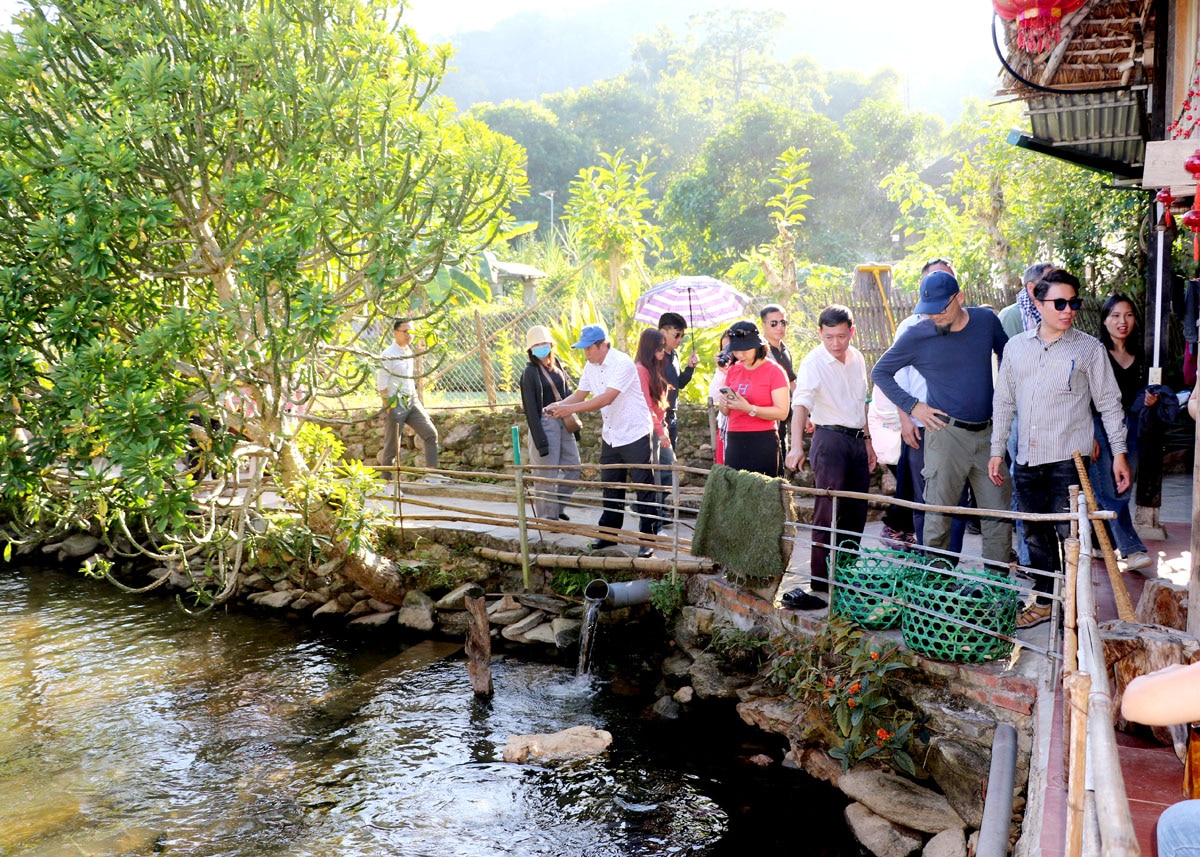 Đoàn tham quan và khảo sát mô hình nuôi cá bỗng tại thôn Tha, xã Phương Độ (thành phố Hà Giang).