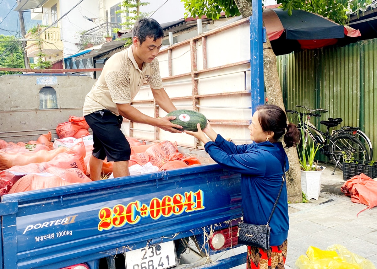 Hội Nông dân phường Nguyễn Trãi kết nối tiêu thụ dưa hấu của thôn Cao Bành, xã Phương Thiện.