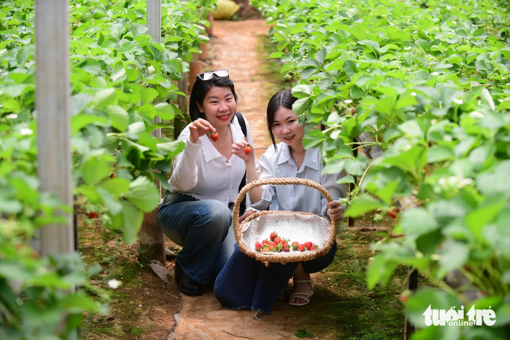 Du lịch nội địa "lên ngôi" trong xu hướng tìm kiếm về điểm đến - Ảnh 1.