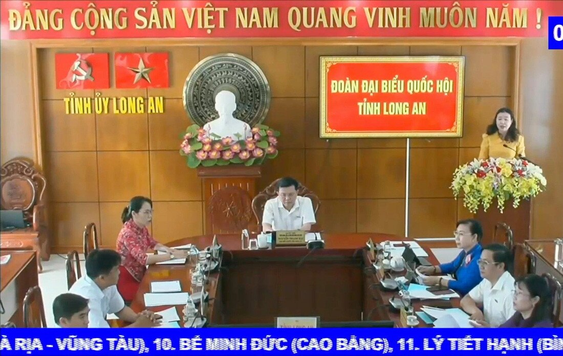 Đại biểu Lê Thị Song An - Đoàn ĐBQH tỉnh Long An