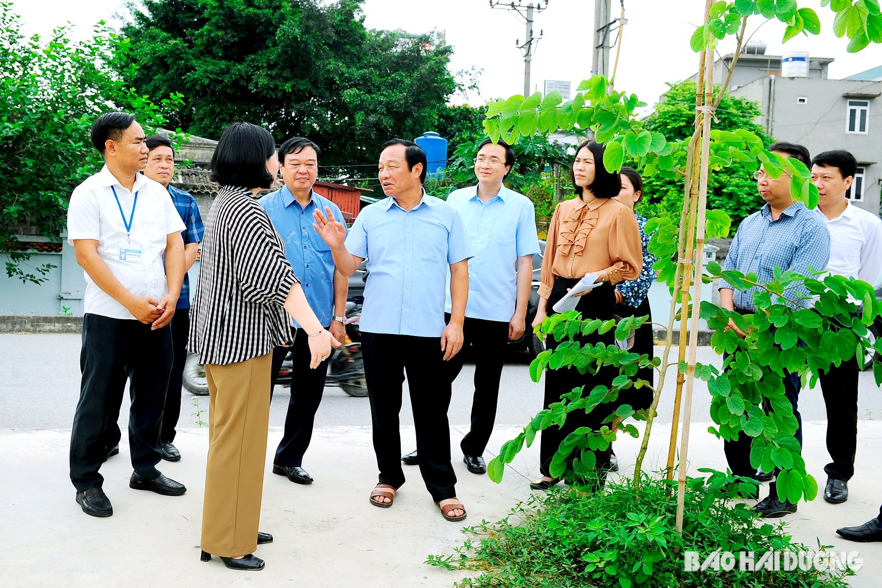 Đồng chí Lê Văn Hiệu, Phó Bí thư Thường trực Tỉnh ủy, Chủ tịch HĐND tỉnh, Trưởng Đoàn Đại biểu Quốc hội tỉnh kiểm tra cây trồng tại thôn Tranh Xuyên, xã Đồng Tâm (Ninh Giang)