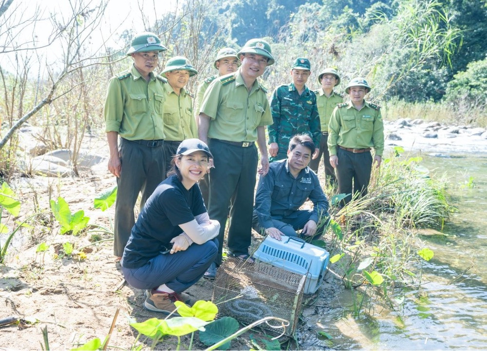 bai 2 2anh vu quang.jpg