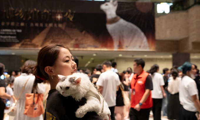 Cô gái bế con mèo màu trắng tại triển lãm ở Bảo tàng Thượng Hải ngày 27/7. Ảnh: AFP