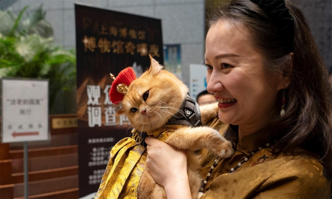 Con mèo vàng tên là Trump cùng chủ tại triển lãm ở Bảo tàng Thượng Hải ngày 27/7. Ảnh: AFP