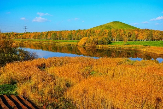 Mùa thu ở Hokkaido, Nhật Bản. Ảnh: Nick M