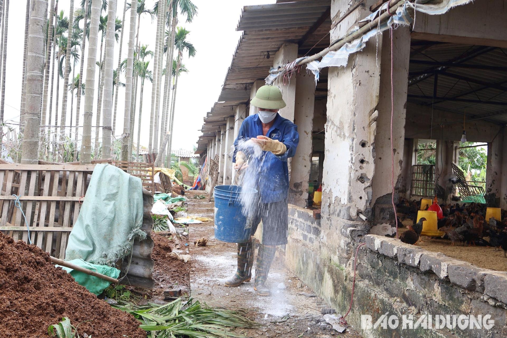 Tổng vệ sinh chuồng trại và khu vực xung quanh; phun thuốc sát trùng ngày hai lần để tiêu diệt mầm bệnh