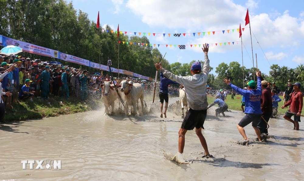 ttxvn-hoi_dua_bo_bay_nui_an_giang (8).jpg