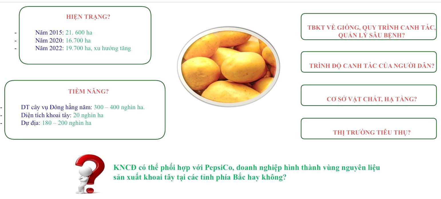 chia-se-kinh-nghiem-ung-dung-cong-nghe-canh-khoai-tay-3-d0479cb92e8fd555aafc9016543b3935.jpg