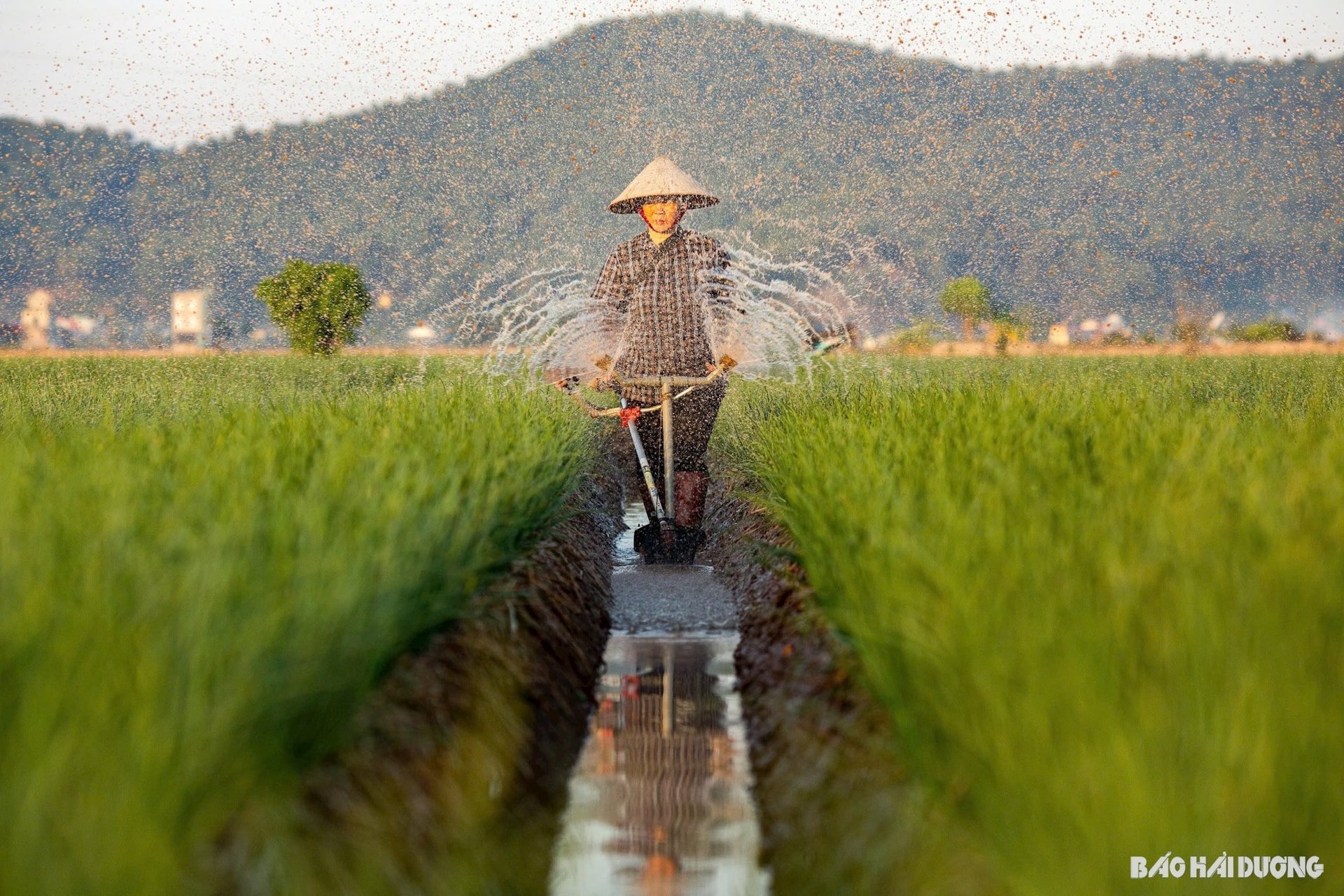 nguon-nhan-luc-san-xuat-nong-nghiep.jpg