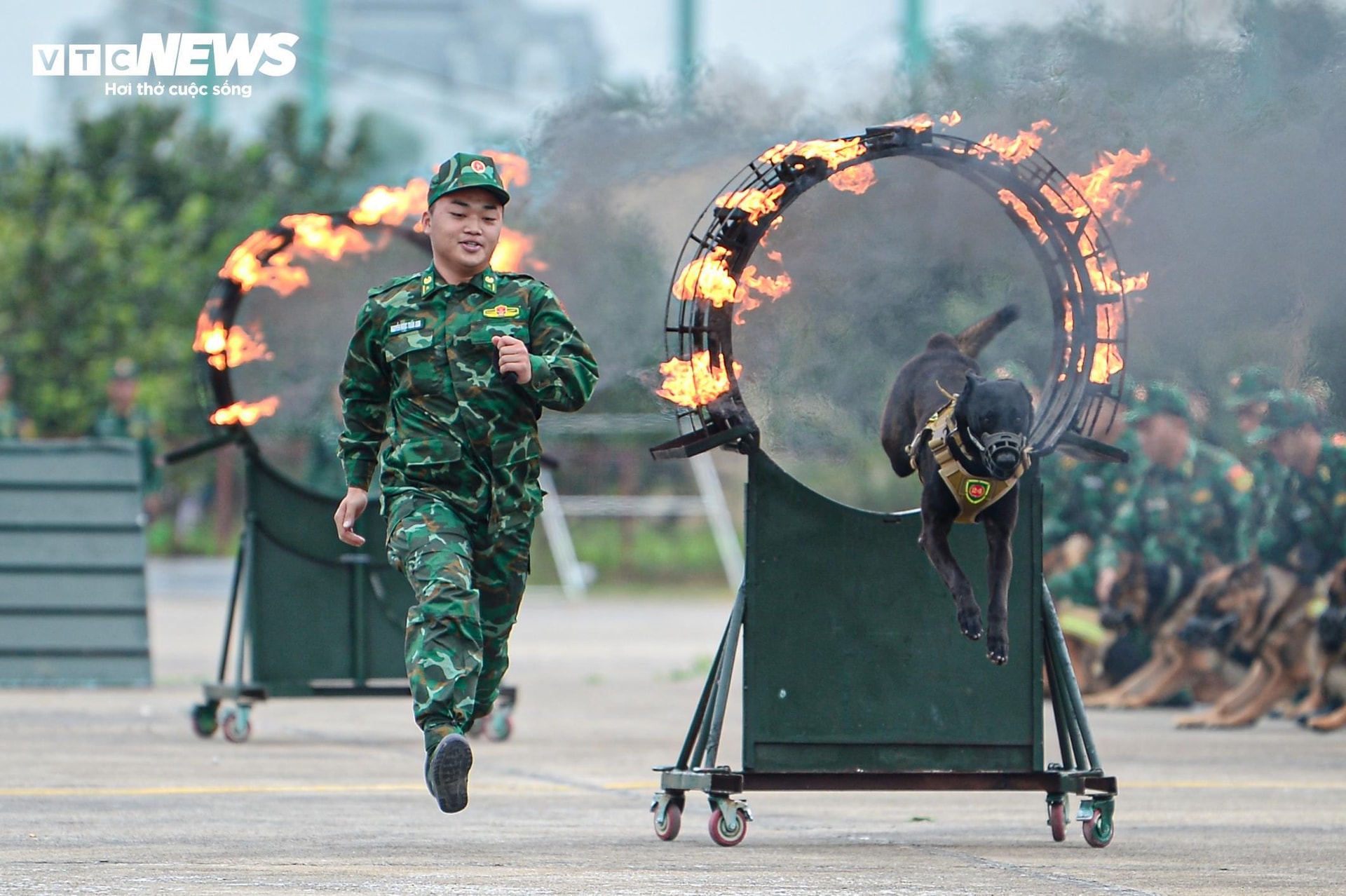 Quân khuyển sẽ trình diễn 3 nội dung mở màn triển lãm, gồm: Biểu diễn động tác cơ bản kỷ luật theo đội hình khối, biểu diễn vượt vòng lửa và nhảy qua vật cản.