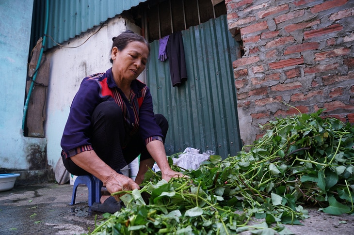 Cô bé ngồi buồn bên cửa lớp và đề văn... đáng sợ nhất - Ảnh 5.