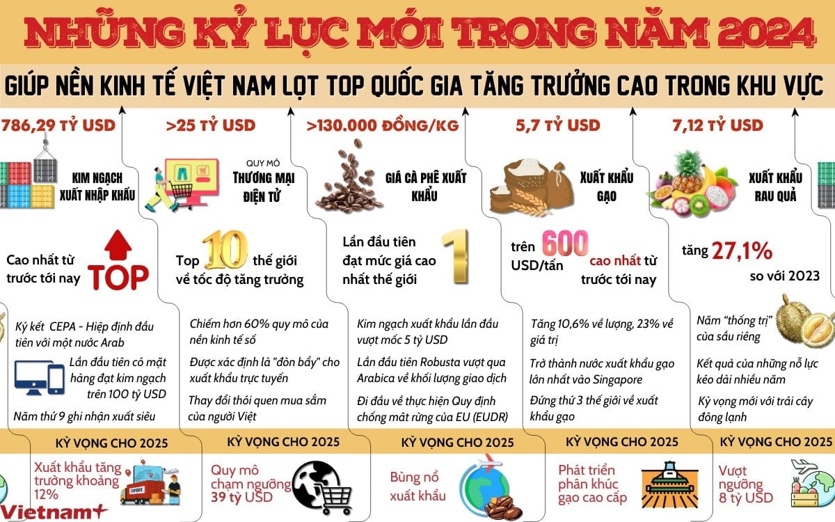 ky-luc-kinh-te-viet-nam-2024.jpg