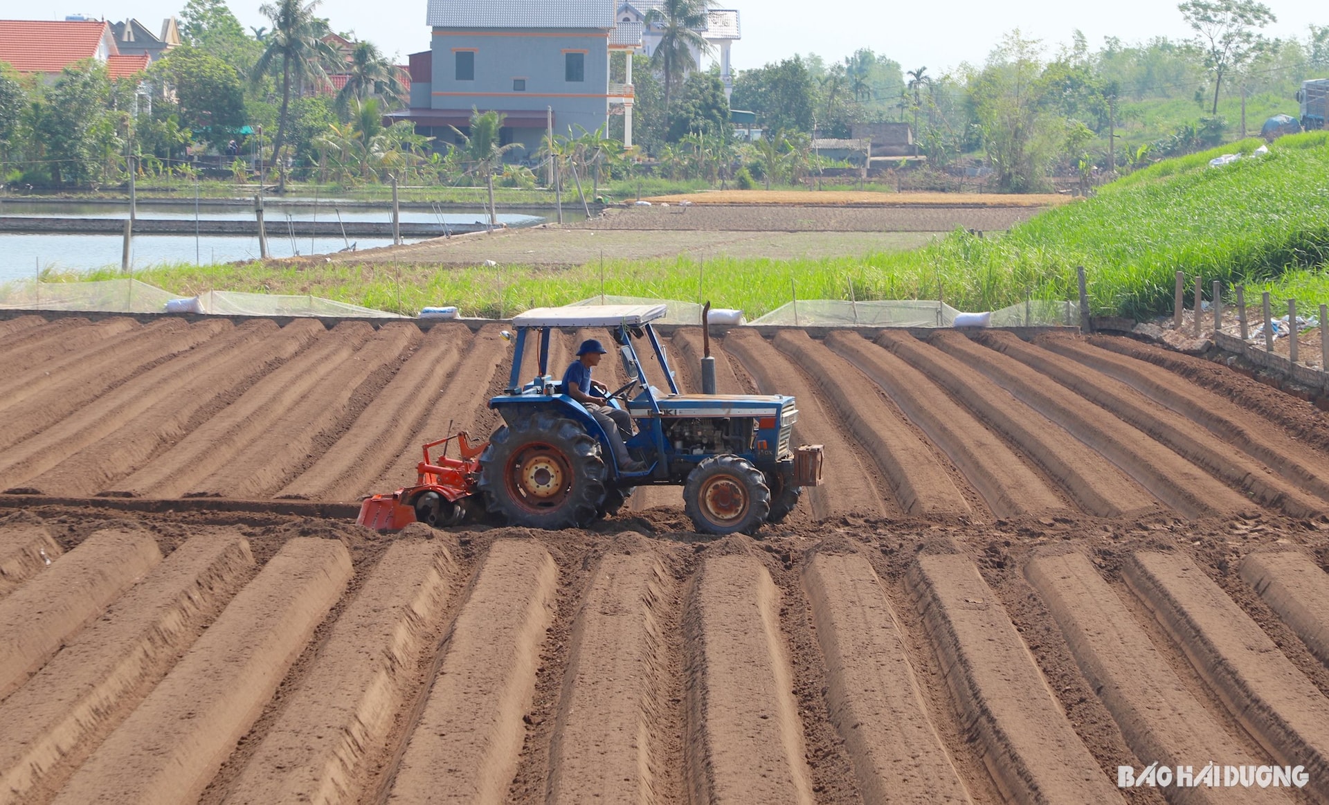 co-gioi-hoa-nong-nghiep.jpg