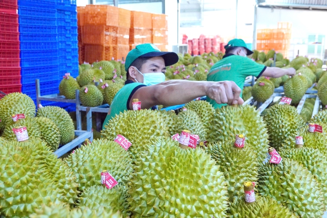 Vốn đầu tư Trung Quốc đổ mạnh vào Việt Nam- Ảnh 3.