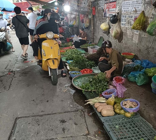 Người Hải Phòng, Quảng Ninh tích trữ thịt lợn, rau xanh trước bão số 3