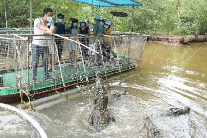 Một ngày ăn chơi tại Cần Giờ