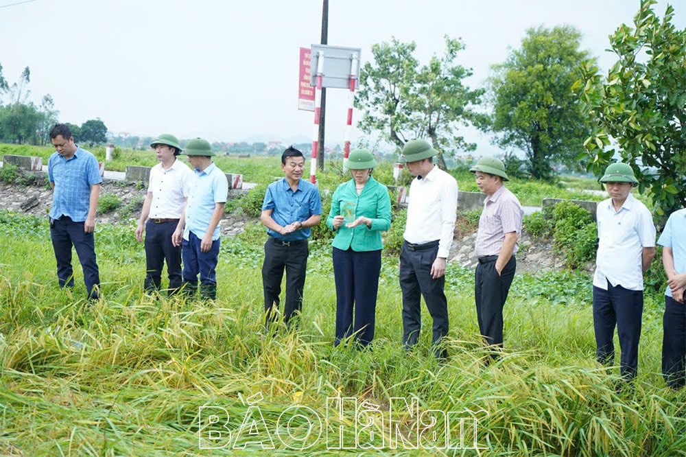 Đồng chí Bí thư Tỉnh ủy Lê Thị Thủy chỉ đạo các địa phương khẩn trương khắc phục thiệt hại sớm ổn định sản xuất sau bão