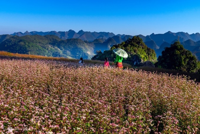 4 điểm đến ngắm thu ở Việt Nam