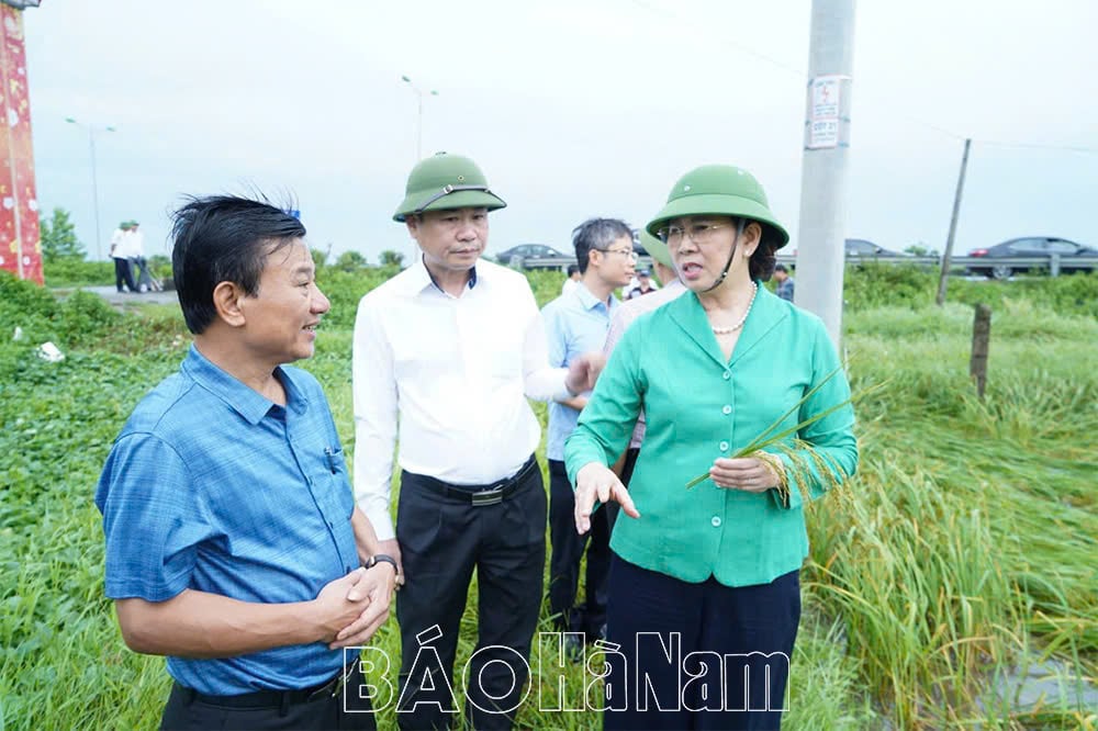 Đồng chí Bí thư Tỉnh ủy Lê Thị Thủy chỉ đạo các địa phương khẩn trương khắc phục thiệt hại sớm ổn định sản xuất sau bão