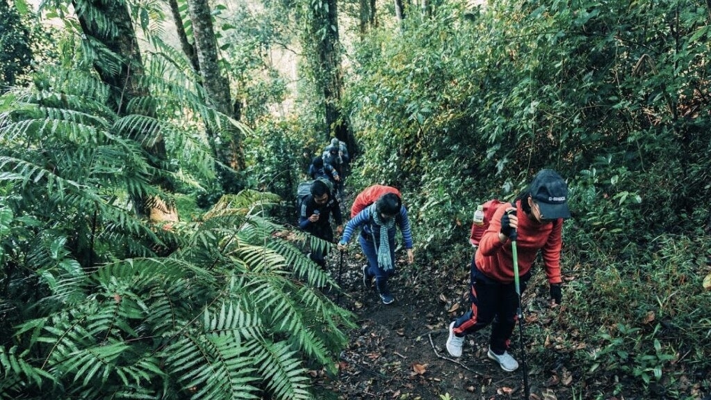 Rủi ro tiềm ẩn trong các tour du lịch trải nghiệm giá rẻ