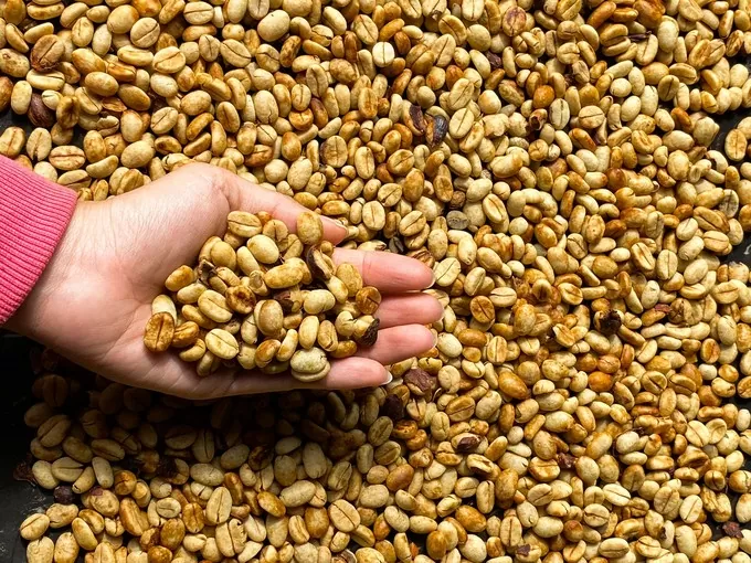 Giá cà phê Arabica bất ngờ giảm sâu về mức thấp nhất trong một tháng