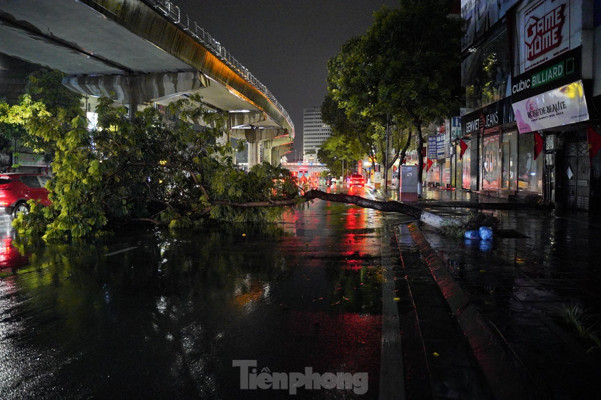 Hàng loạt cây đổ, bật gốc sau cơn mưa lớn tại Hà Nội ảnh 4