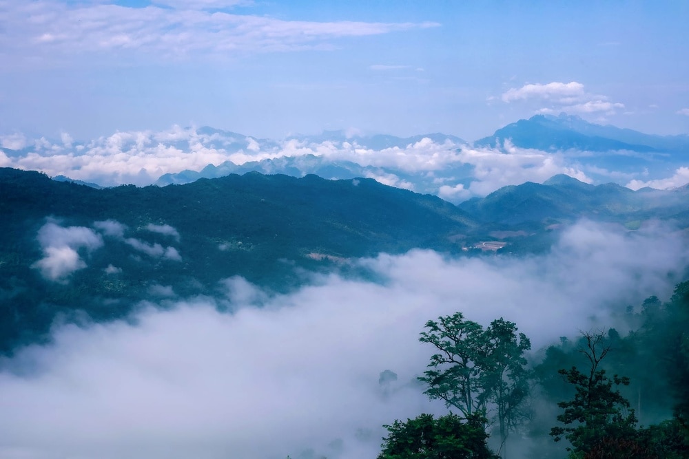 Nằm tại huyện Mai Châu, tỉnh Hòa Bình, Hang Kia Pà Cò là khu bảo tồn thiên nhiên rộng lớn với tổng diện tích 5258ha, bao gồm địa phận của cả 6 xã ở huyện Mai Châu: Hang Kia, Pà Cò, Tân Sơn, Cun Pheo, Bao La và Piềng Vế.