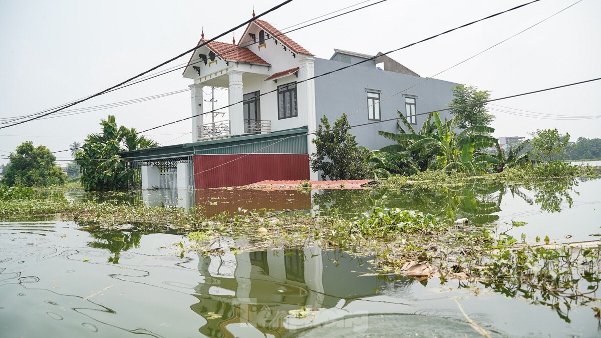 ‘Lũ rừng ngang’ nhấn chìm hàng trăm ngôi nhà ở ngoại thành Hà Nội ảnh 10