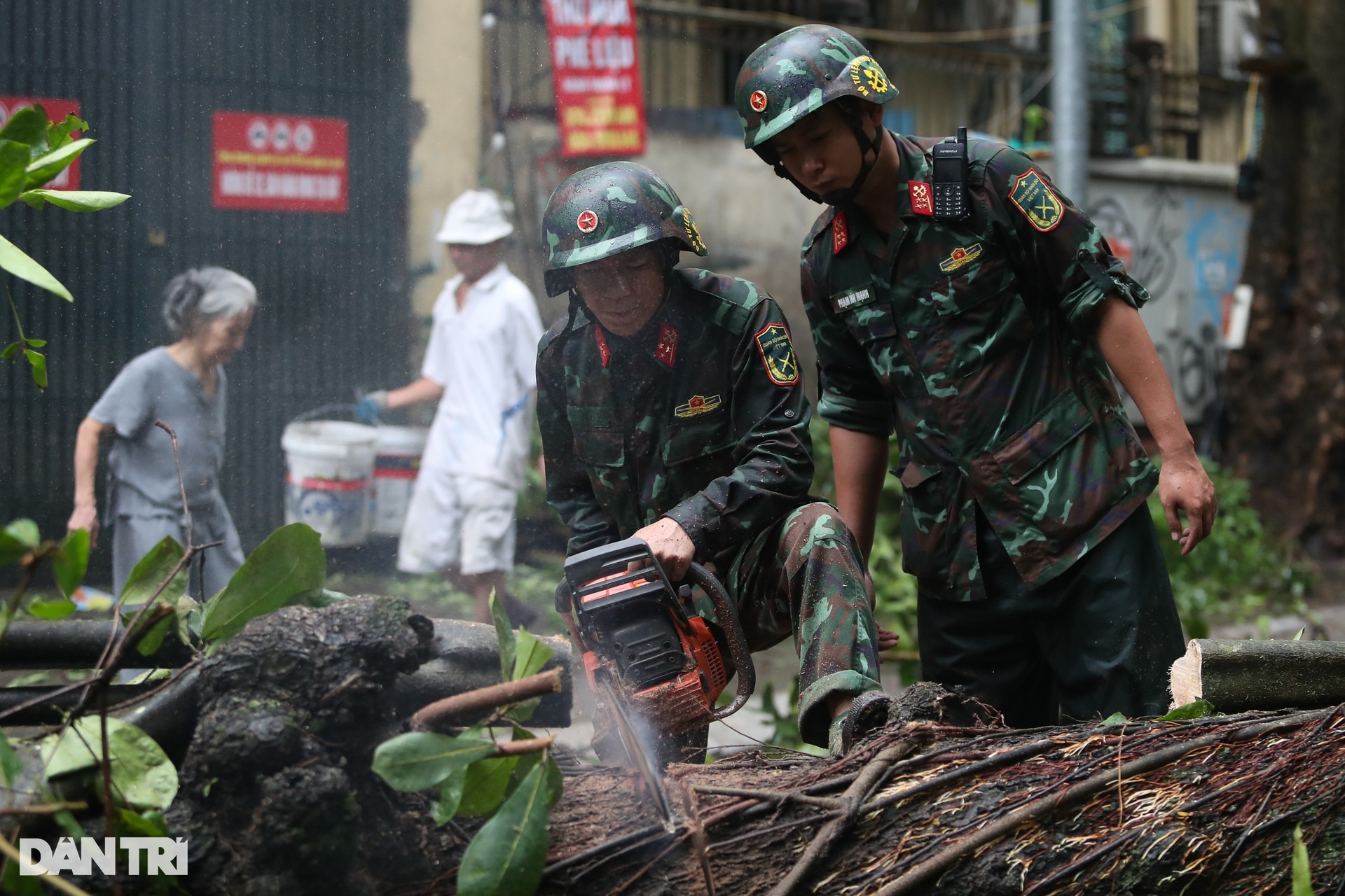 Hà Nội khẩn trương thu dọn cây đổ, khắc phục hậu quả sau bão - 12